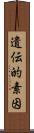 遺伝的素因 Scroll
