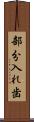 部分入れ歯 Scroll