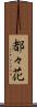 都々花 Scroll