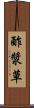 酢漿草 Scroll