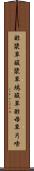 酢漿草 Scroll