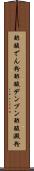 酢酸でん粉 Scroll