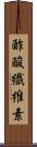 酢酸繊維素 Scroll