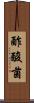 酢酸菌 Scroll