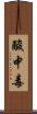 酸中毒 Scroll