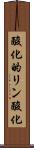 酸化的リン酸化 Scroll