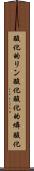酸化的リン酸化 Scroll