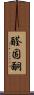 醛固酮 Scroll