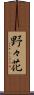野々花 Scroll