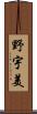 野宇美 Scroll