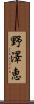 野澤恵 Scroll