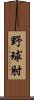 野球肘 Scroll