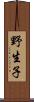 野生子 Scroll