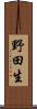 野田生 Scroll