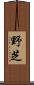 野芝 Scroll