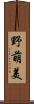 野萌美 Scroll