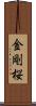 金剛桜 Scroll