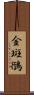 金斑鴴 Scroll