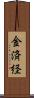 金済経 Scroll