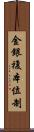 金銀複本位制 Scroll