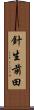 針生前田 Scroll