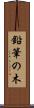 鉛筆の木 Scroll