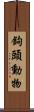 鉤頭動物 Scroll