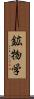 鉱物学 Scroll