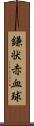 鎌状赤血球 Scroll
