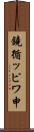 鐃循ッピワ申 Scroll