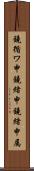鐃循ワ申鐃緒申鐃緒申属 Scroll