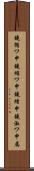 鐃循ワ申鐃縮ワ申鐃緒申鐃淑ワ申属 Scroll