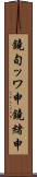 鐃旬ッワ申鐃緒申 Scroll