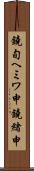 鐃旬ヘミワ申鐃緒申 Scroll