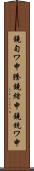 鐃旬ワ申謄鐃緒申鐃銃ワ申 Scroll
