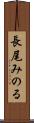 長尾みのる Scroll