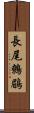 長尾鷯鶥 Scroll