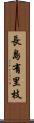 長島有里枝 Scroll