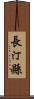長汀縣 Scroll