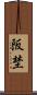 阪埜 Scroll