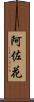 阿佐花 Scroll