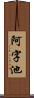 阿字池 Scroll