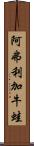 阿弗利加牛蛙 Scroll