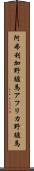 阿弗利加野驢馬 Scroll