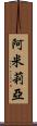Amilia Scroll