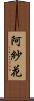 阿紗花 Scroll