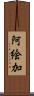 阿絵加 Scroll