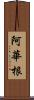 阿華根 Scroll