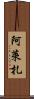 Aleeza Scroll