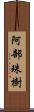 阿部珠樹 Scroll